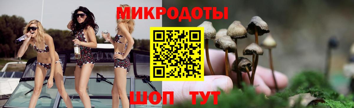 Галлюциногенные грибы GOLDEN TEACHER  Псилоцибиновые грибы прущие грибы  Электрогорск  Вход с VPN 